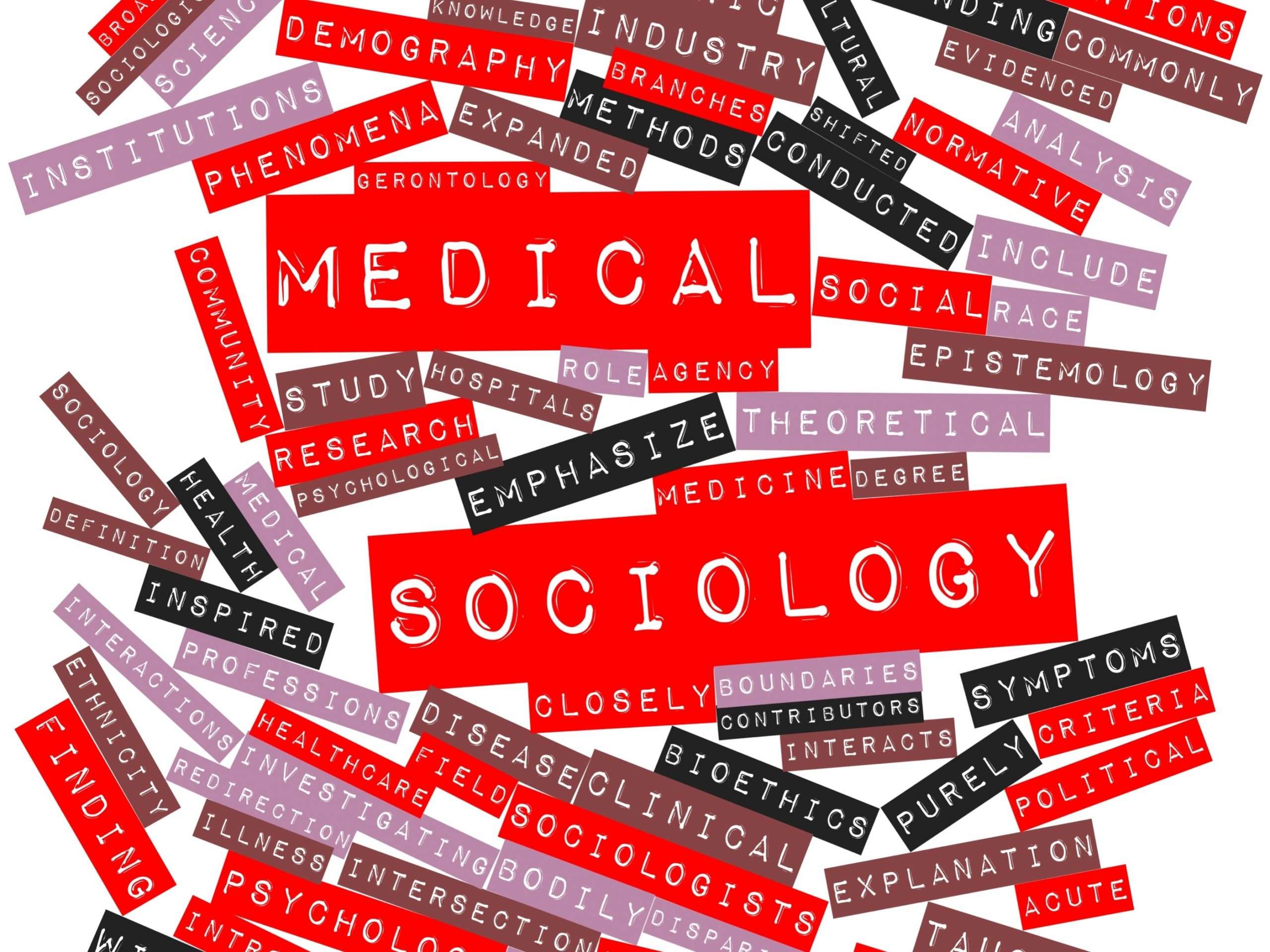 a Word Cloud with Words Related to Medical Sociology