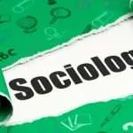 Read more about the article The Process of Getting a Sociology Degree in Nigeria