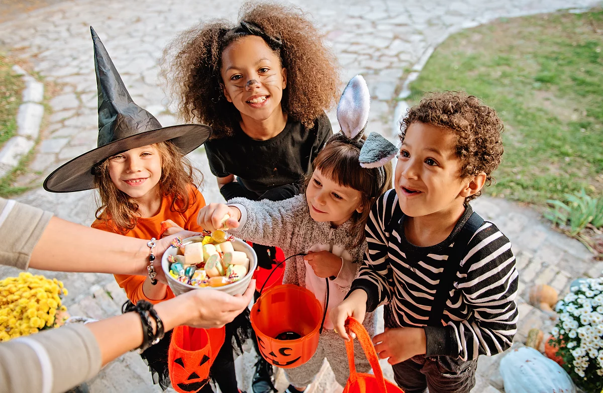 the Sociology of Halloween: Urban Legends, Cannabis Candy, and Trick-or-treating