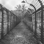 Read more about the article The Sociology of Holocaust Remembrance Day in Germany