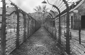 the Sociology of Celebrating Holocaust Remembrance Day in Germany
