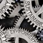 Read more about the article Sociology of the Economy: Interview with an Expert