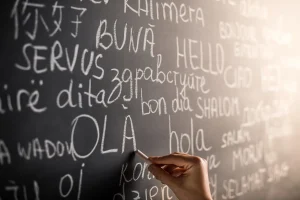 Fostering Multilingualism for Inclusion in Education and Society