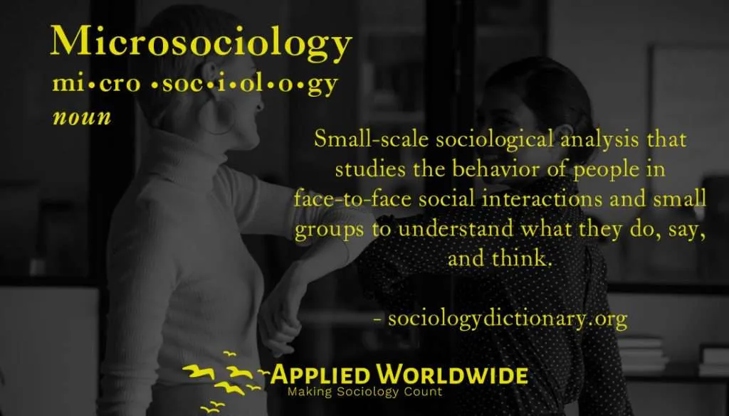 Microsociology: Small-scale sociological analysis that studies the behavior of people in face-to-face social interactions and small groups to understand what they do, say, and think.