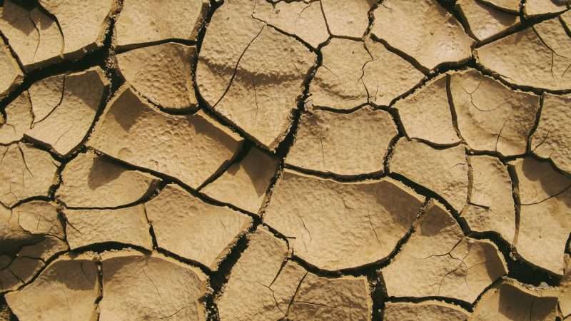 dry soil