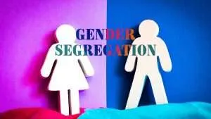 Gender Segregation, House Bill 1134, and Teaching