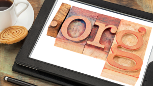 Read more about the article Sociology Careers in the Nonprofit Sector