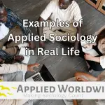 Read more about the article Examples of Applied Sociology in Real Life