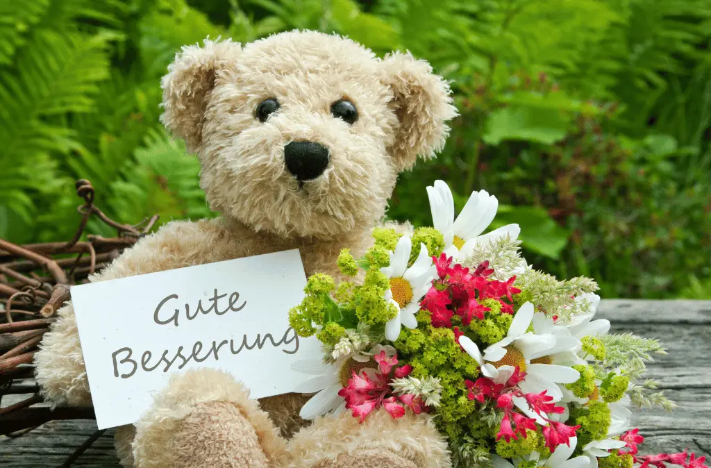 Photo of a teddy bear with flowers and a card reading "Gute Besserung" in German which translates to "Get Well Soon" in English for a blog about the Sociology of Gift Giving