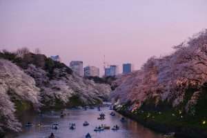 Read more about the article Find the Best Expat Health Plan for Living in Japan