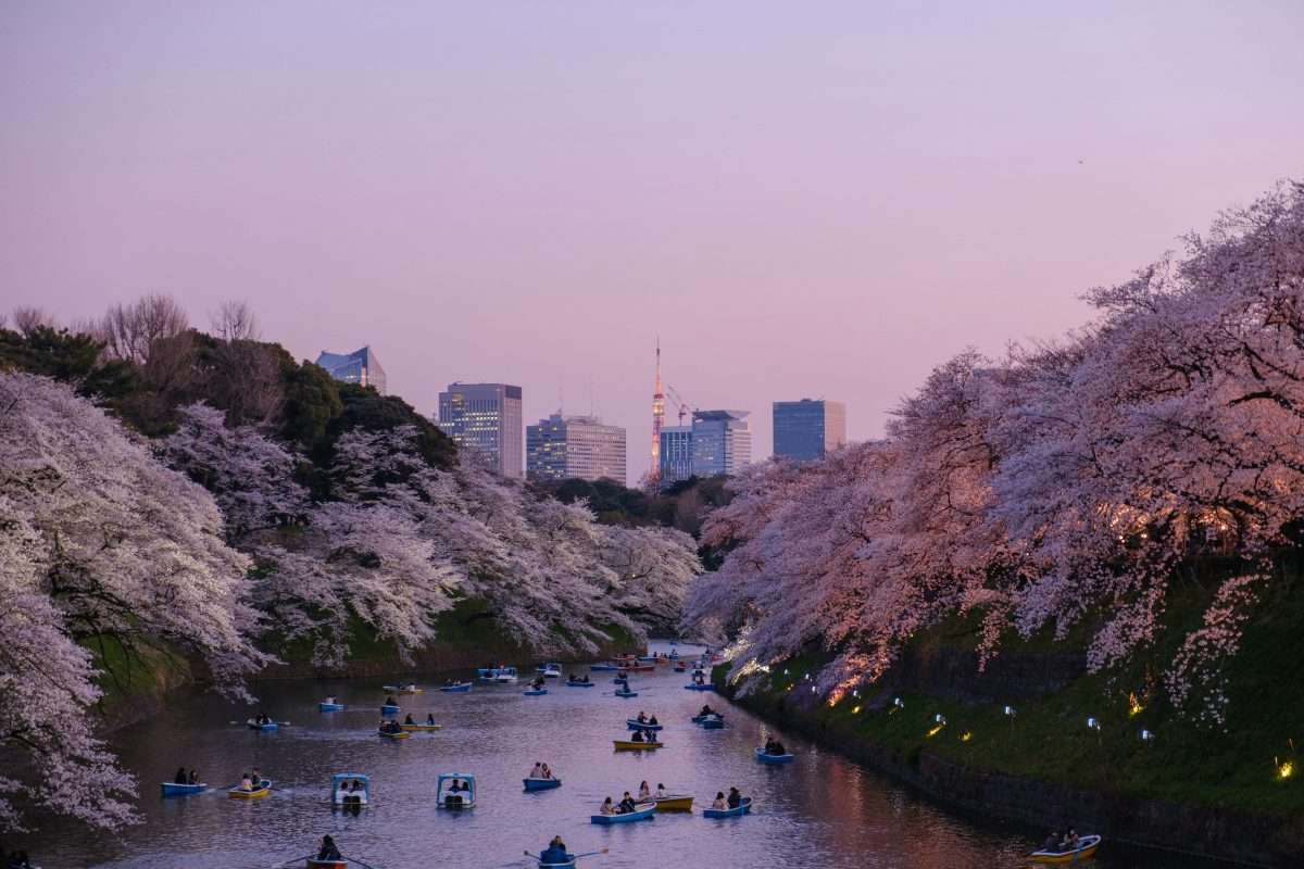 You are currently viewing Find the Best Expat Health Plan for Living in Japan