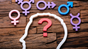 Read more about the article Lessons from 15 Years in the Sociology of Gender
