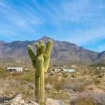 Read more about the article What a Rural College Taught Me About Applied Sociology