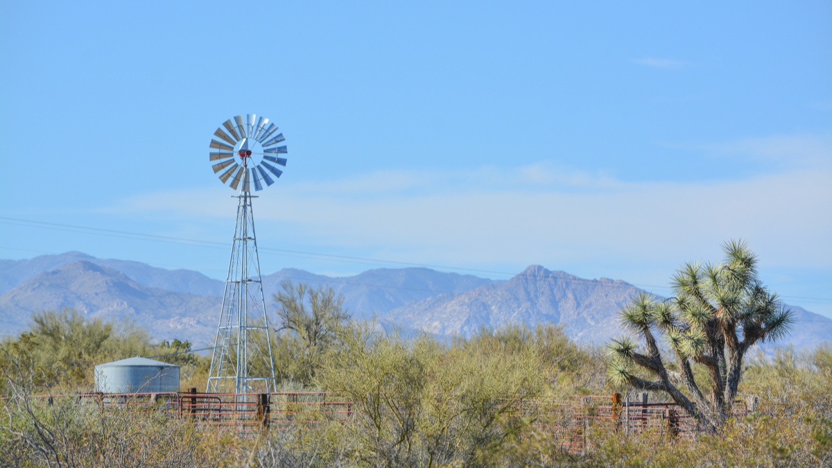 You are currently viewing How Local Higher Education can Transform Rural Communities