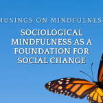 Read more about the article Sociological Mindfulness as a Foundation for Social Change