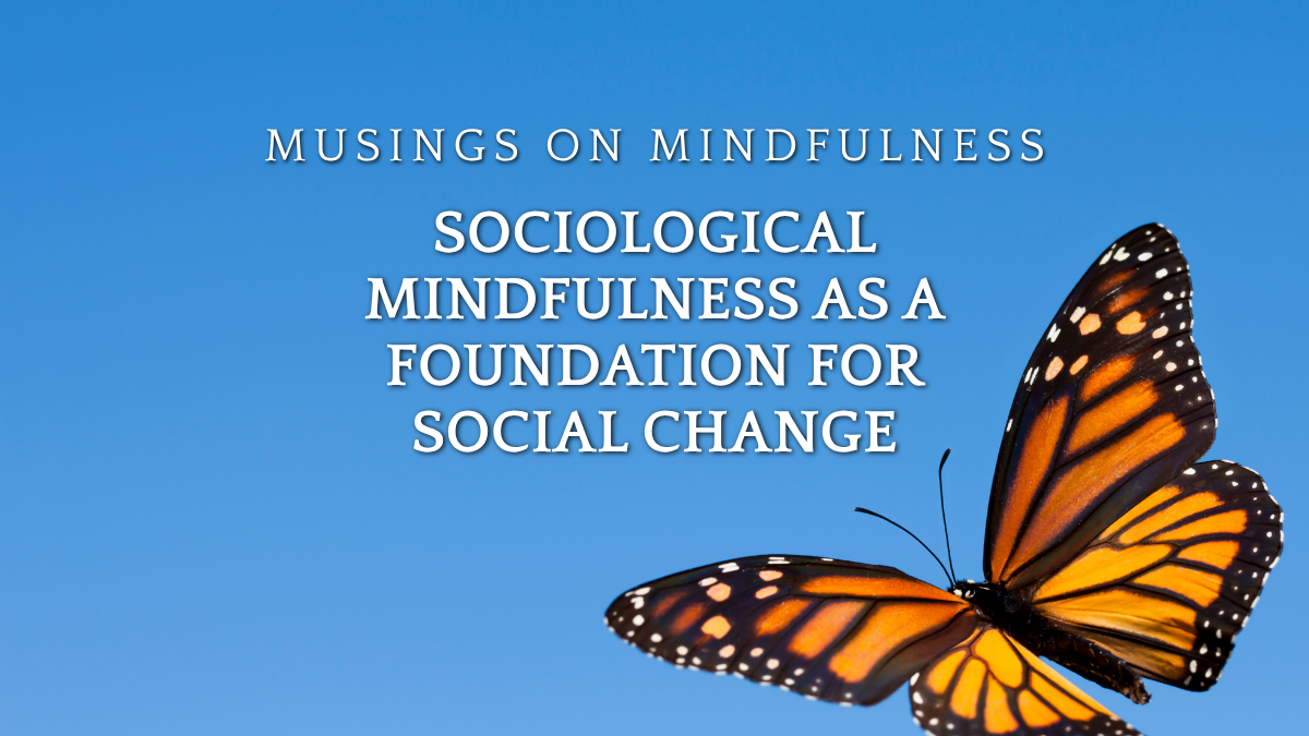 You are currently viewing Sociological Mindfulness as a Foundation for Social Change
